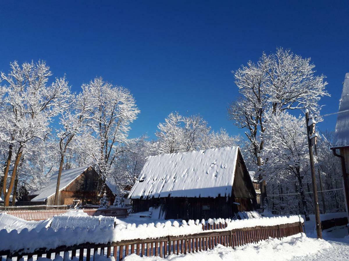 Magurskie Bywanie Witów Exterior foto